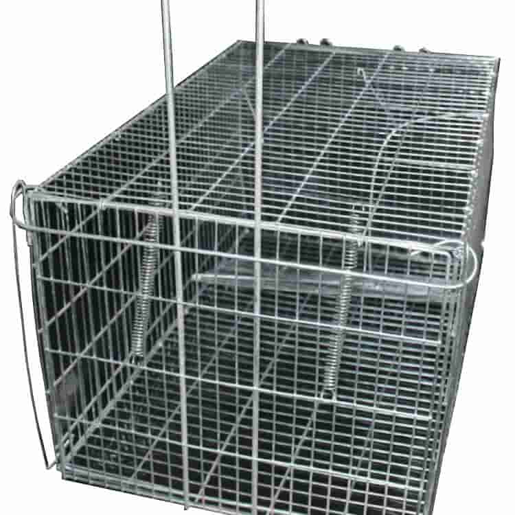 cat and possum trap humane animal trap